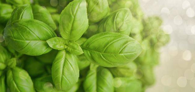 7 مشروبات عشبية تساعد على تهدئة المغص الكلوي