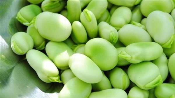 فوائد الفول الأخضر في تعزيز صحة العظام