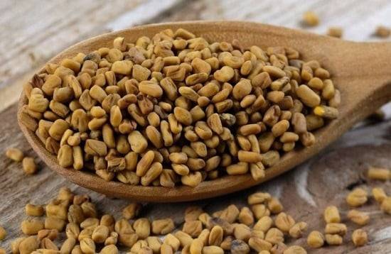 3 فوائد لتناول الحلبة قبل النوم.. منها فقدان الوزن