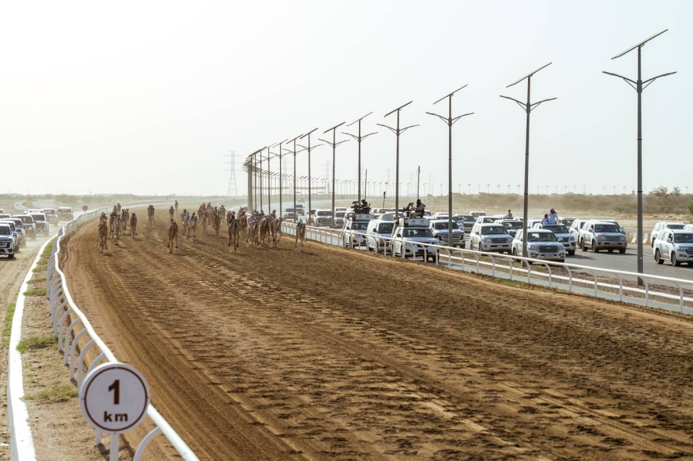 "الشاهينية" و"صمصام" يبصمان على تألق الهجن البحرينية في مهرجان ولي العهد السعودي