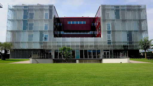 أكاديمية برشلونة لا ماسيا.. منجم مواهب وكنز اقتصادي للنادي