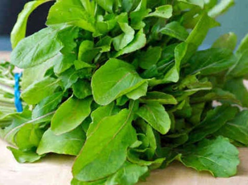 6 فوائد صحية لتناول الجرجير.. منها دعم المناعة