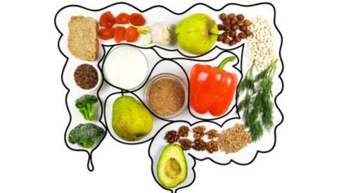 أمراض الجهاز الهضمي وعلاقتها بالطعام.. كيف نحافظ على صحة أمعائنا؟