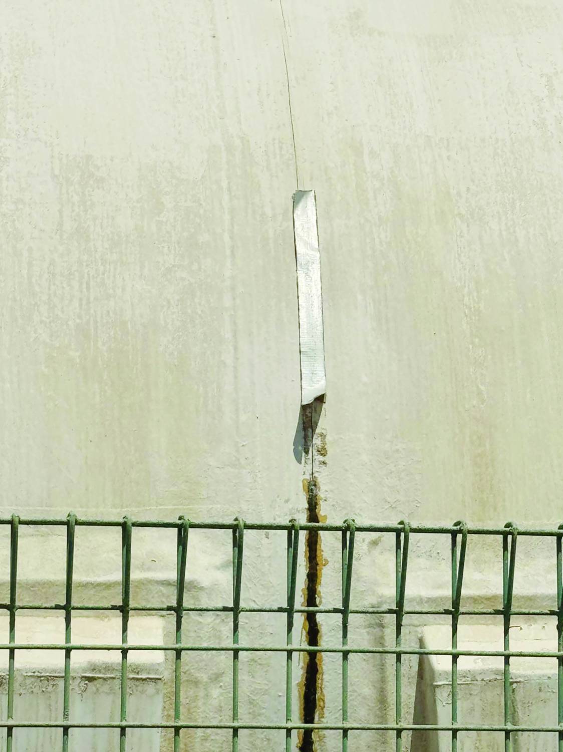 الزعبي: حديقة سافرة تحتاج إلى تطوير شامل وصيانة عاجلة