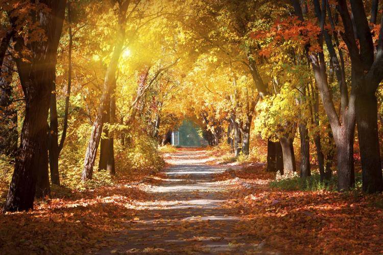 طقس الأسبوع في مصر.. أجواء خريفية مبكرة وسحب منخفضة على شمال البلاد