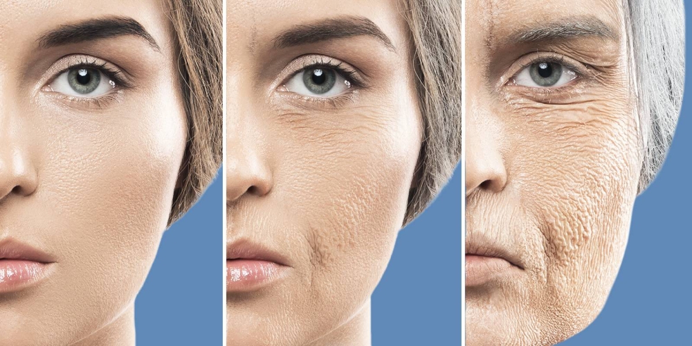 6 أطعمة تحمي من الشيخوخة المبكرة.. سر الشباب الدائم في طبقك