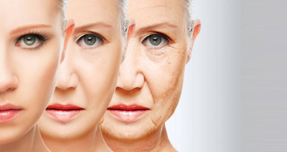 6 أطعمة تحمي من الشيخوخة المبكرة.. سر الشباب الدائم في طبقك