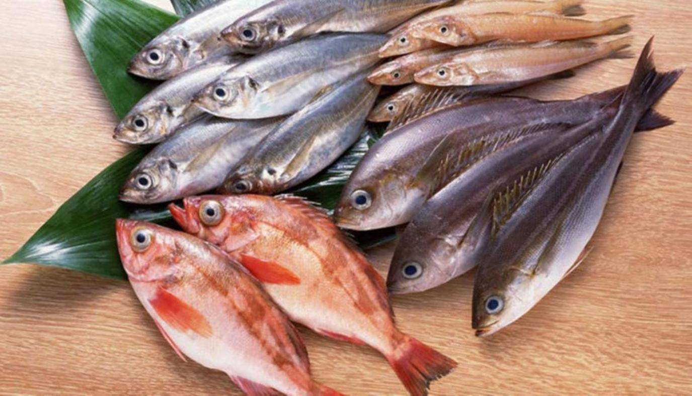فوائد تناول الأسماك مرتين أسبوعيًا.. تعرف عليها