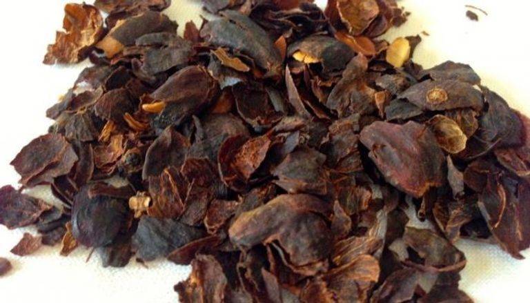 فوائد قشر القهوة.. لماذا يُنصح للسيدات بتناوله يوميًا؟