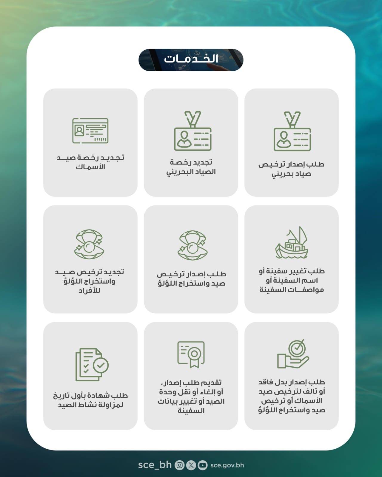 المجلس الأعلى للبيئة يدشن 30 خدمة إلكترونية خاصة بحماية الثروة البحرية