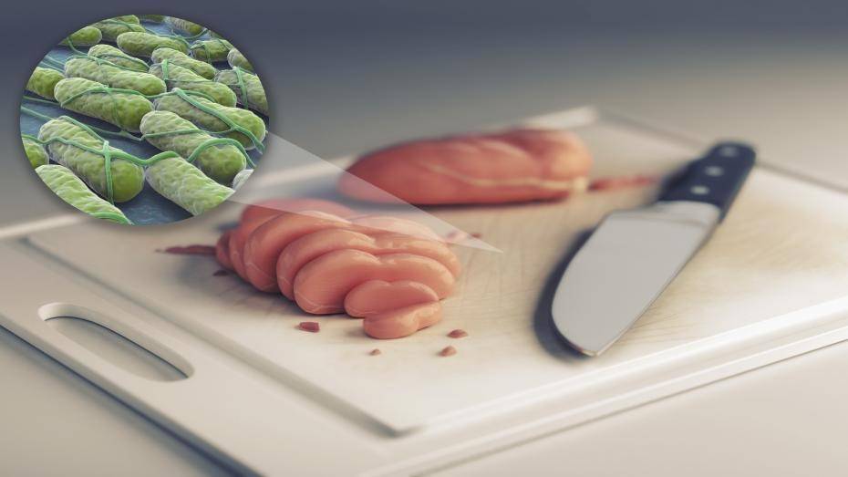 من السالمونيلا إلى نوروفيروس.. 9 أمراض خطيرة يسببها الطعام الملوث