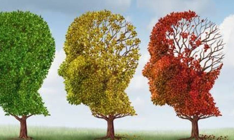 من النسيان المتكرر إلى فقدان الكلمات.. كيف يبدأ الزهايمر؟