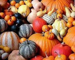 7 فوائد سحرية لقرع العسل.. سر الصحة والجمال في ثمرة واحدة