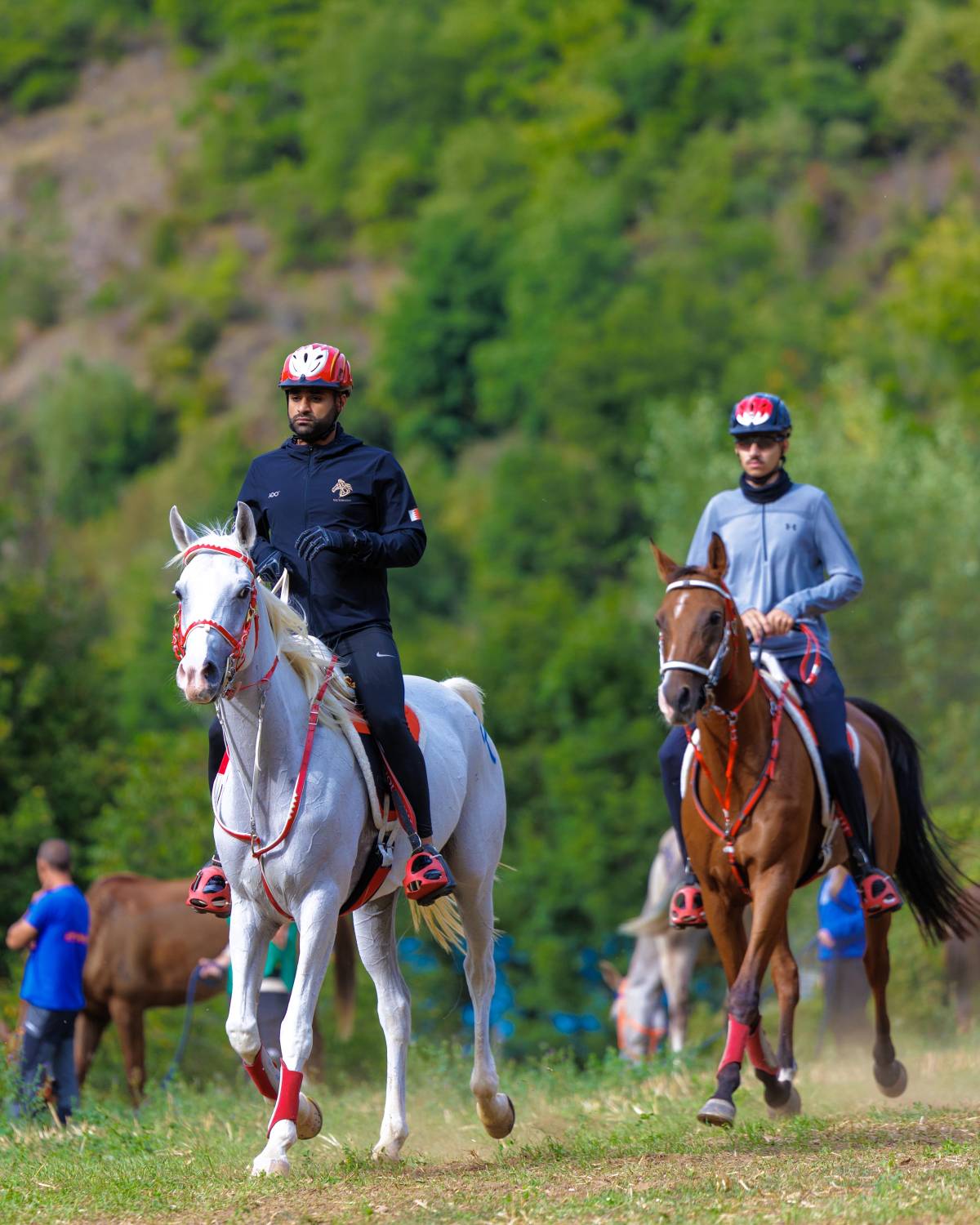 5 فرسان يمثلون الفريق الملكي للقدرة في اليوبيل الذهبي لسباق فلوراك الدولي