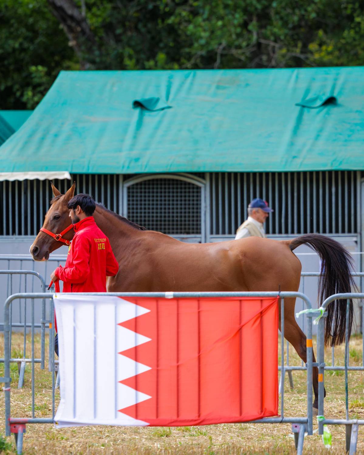 5 فرسان يمثلون الفريق الملكي للقدرة في اليوبيل الذهبي لسباق فلوراك الدولي