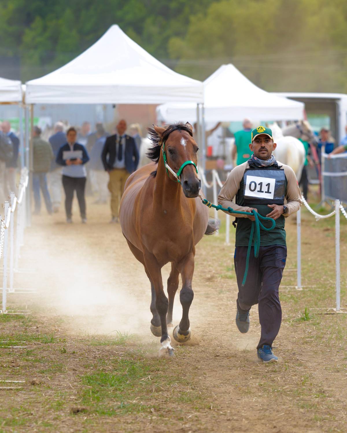 5 فرسان يمثلون الفريق الملكي للقدرة في اليوبيل الذهبي لسباق فلوراك الدولي
