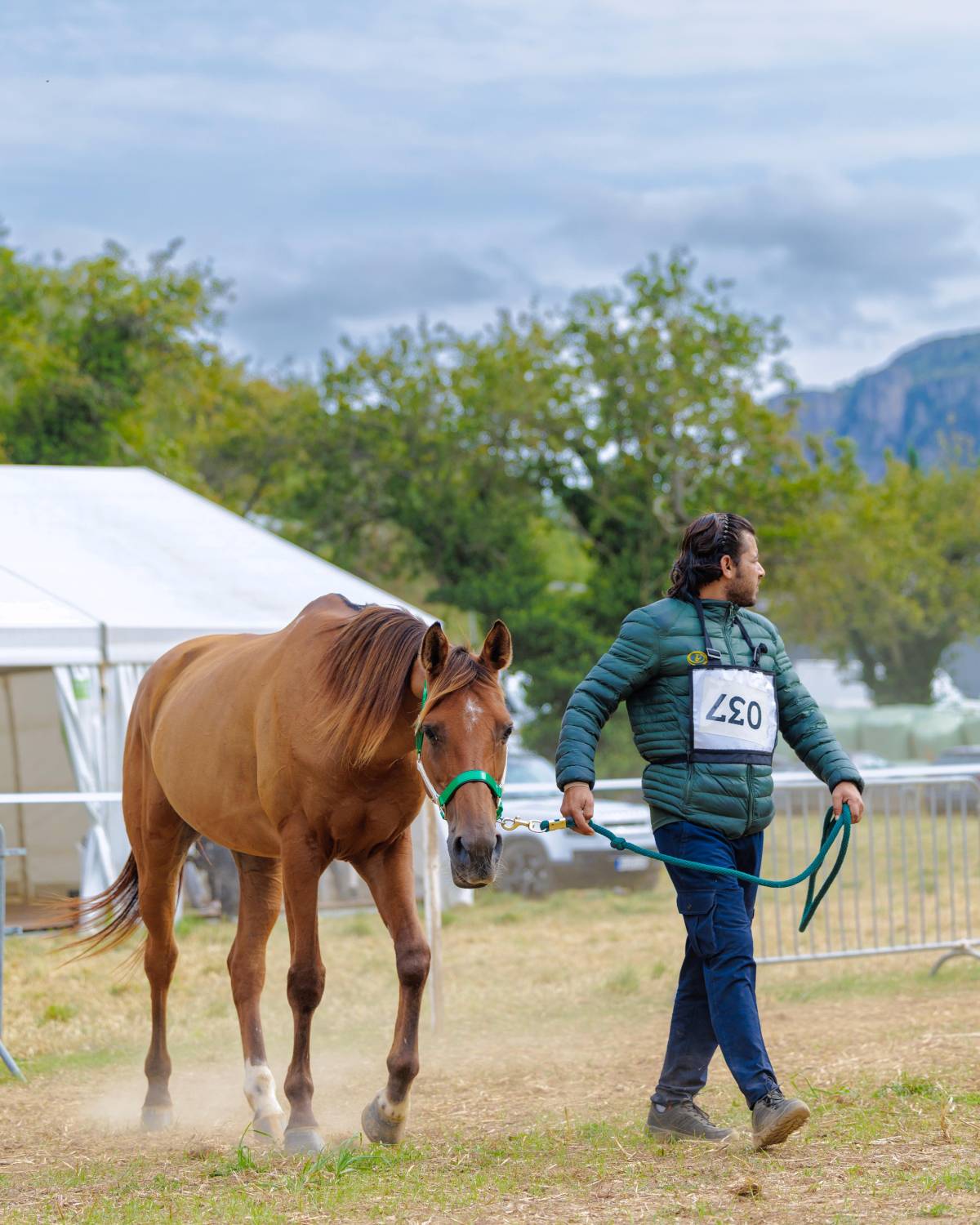 5 فرسان يمثلون الفريق الملكي للقدرة في اليوبيل الذهبي لسباق فلوراك الدولي