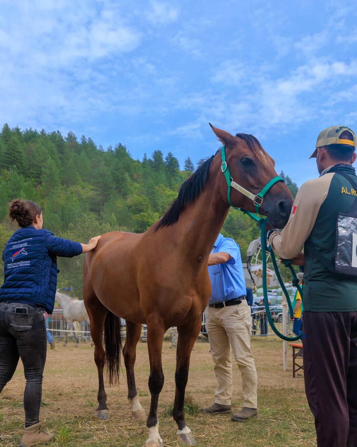 5 فرسان يمثلون الفريق الملكي للقدرة في اليوبيل الذهبي لسباق فلوراك الدولي