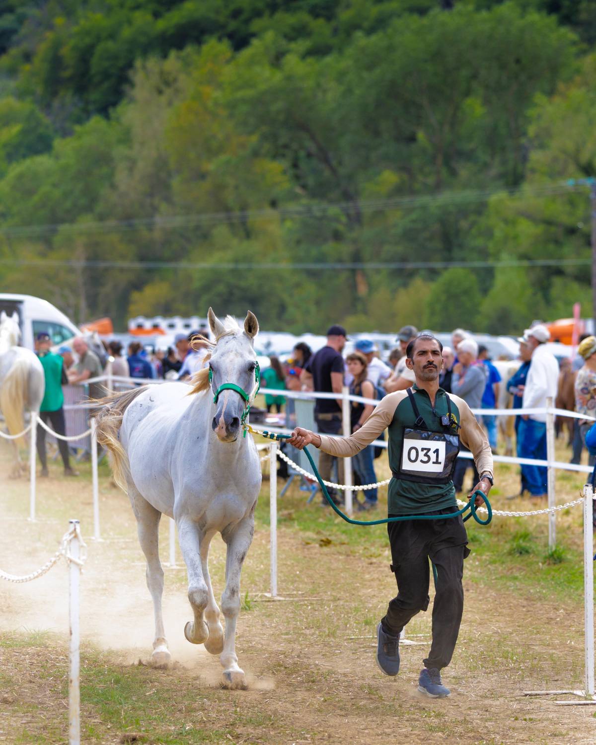 5 فرسان يمثلون الفريق الملكي للقدرة في اليوبيل الذهبي لسباق فلوراك الدولي