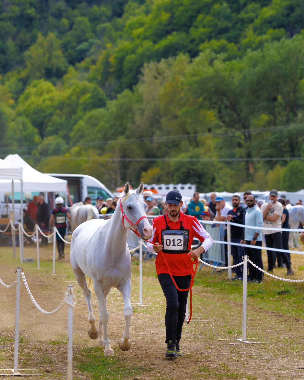 5 فرسان يمثلون الفريق الملكي للقدرة في اليوبيل الذهبي لسباق فلوراك الدولي