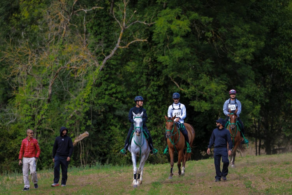5 فرسان يمثلون الفريق الملكي للقدرة في اليوبيل الذهبي لسباق فلوراك الدولي