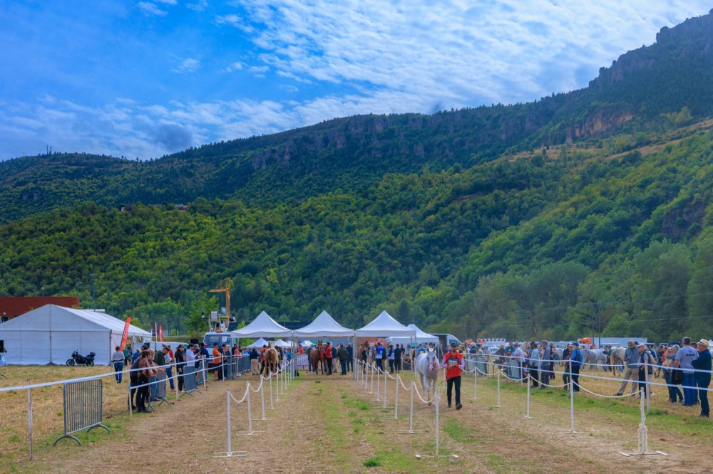 5 فرسان يمثلون الفريق الملكي للقدرة في اليوبيل الذهبي لسباق فلوراك الدولي