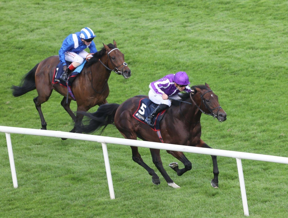 كأس البحرين الملكي في أيرلندا يواصل نجاحاته ويعزز أهدافه