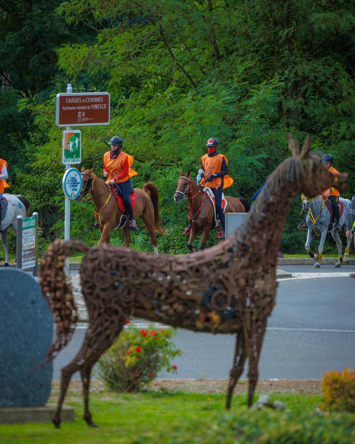 الفريق الملكي يحرز المركز الثاني في سباق فلوراك الدولي للقدرة