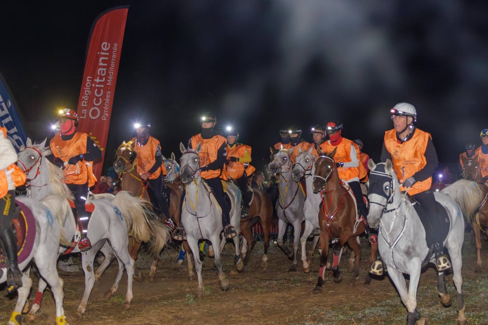 الفريق الملكي يحرز المركز الثاني في سباق فلوراك الدولي للقدرة