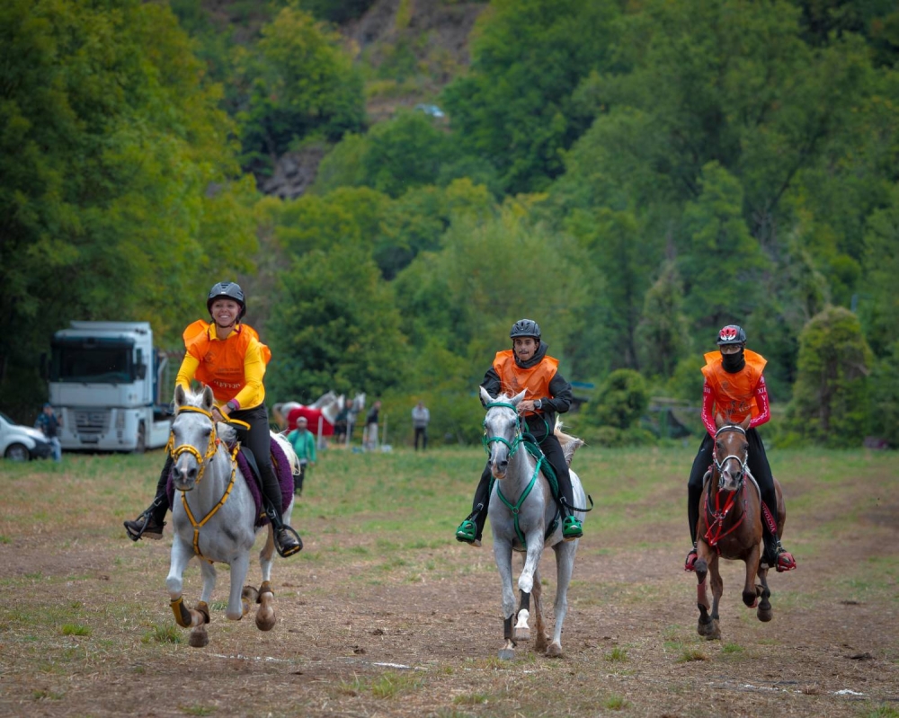 الفريق الملكي يحرز المركز الثاني في سباق فلوراك الدولي للقدرة