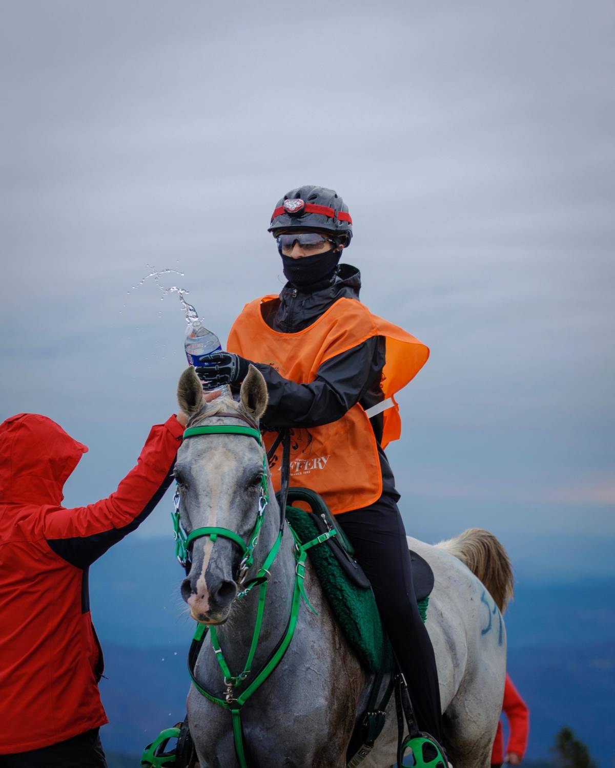 الفريق الملكي يحرز المركز الثاني في سباق فلوراك الدولي للقدرة