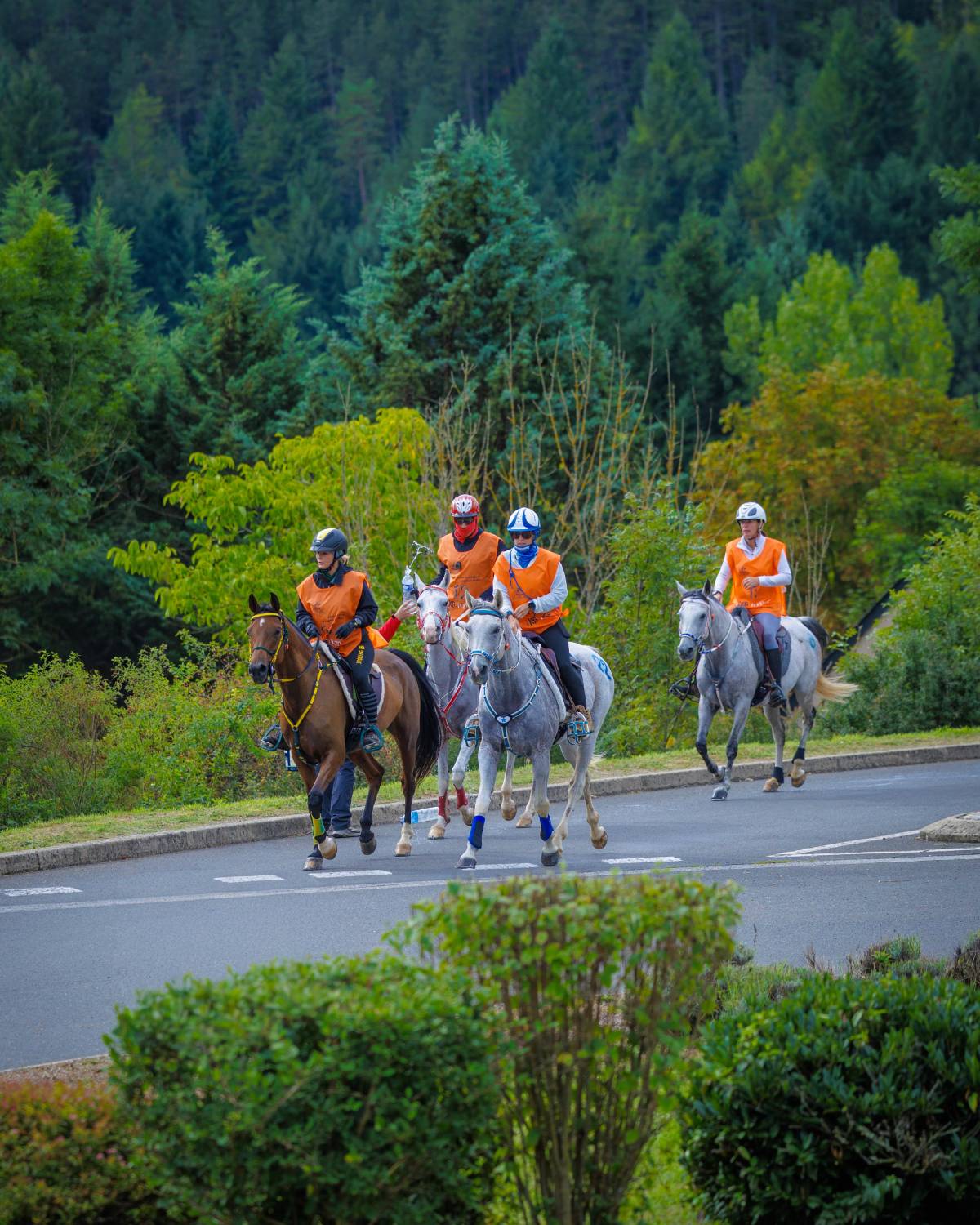 الفريق الملكي يحرز المركز الثاني في سباق فلوراك الدولي للقدرة