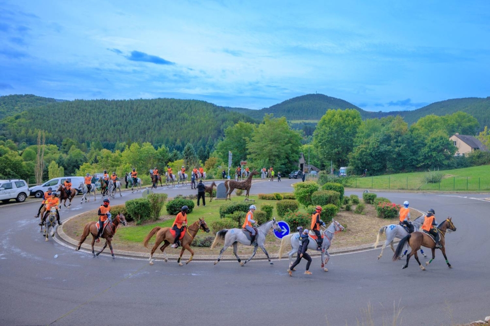 الفريق الملكي يحرز المركز الثاني في سباق فلوراك الدولي للقدرة