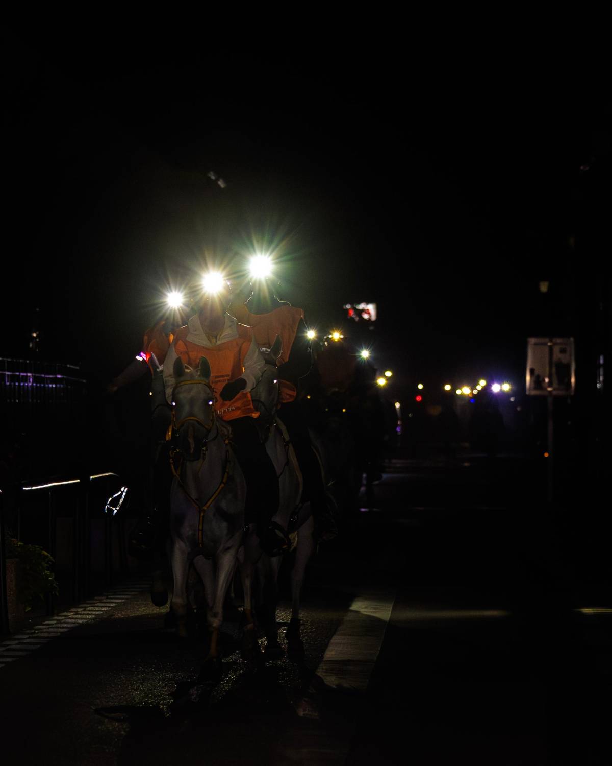 الفريق الملكي يحرز المركز الثاني في سباق فلوراك الدولي للقدرة