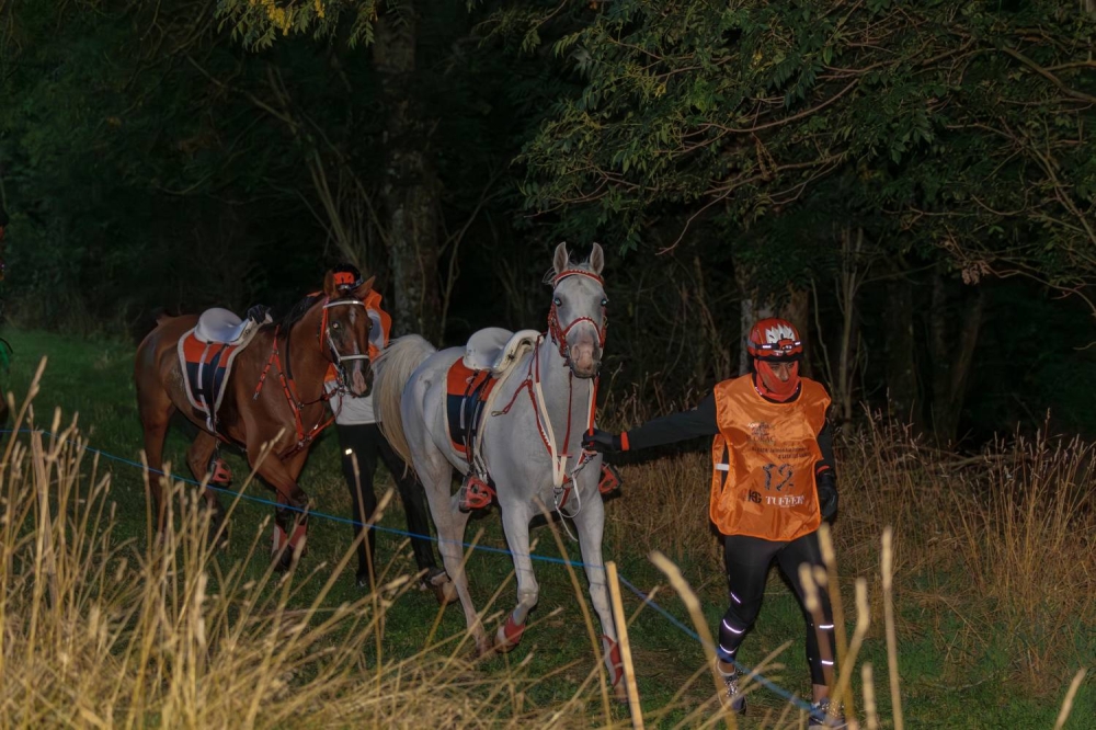 الفريق الملكي يحرز المركز الثاني في سباق فلوراك الدولي للقدرة