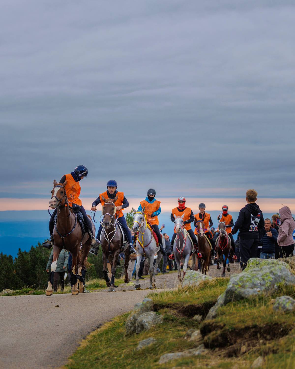 الفريق الملكي يحرز المركز الثاني في سباق فلوراك الدولي للقدرة