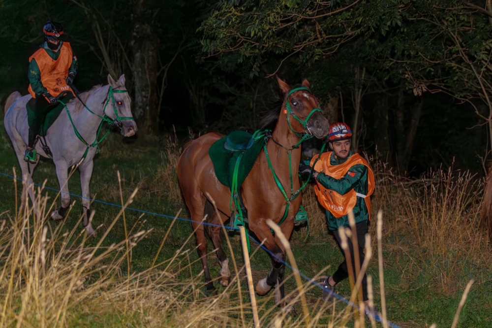 الفريق الملكي يحرز المركز الثاني في سباق فلوراك الدولي للقدرة