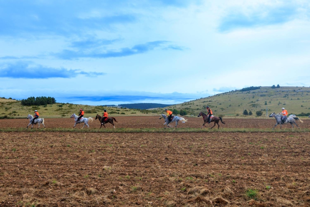الفريق الملكي يحرز المركز الثاني في سباق فلوراك الدولي للقدرة