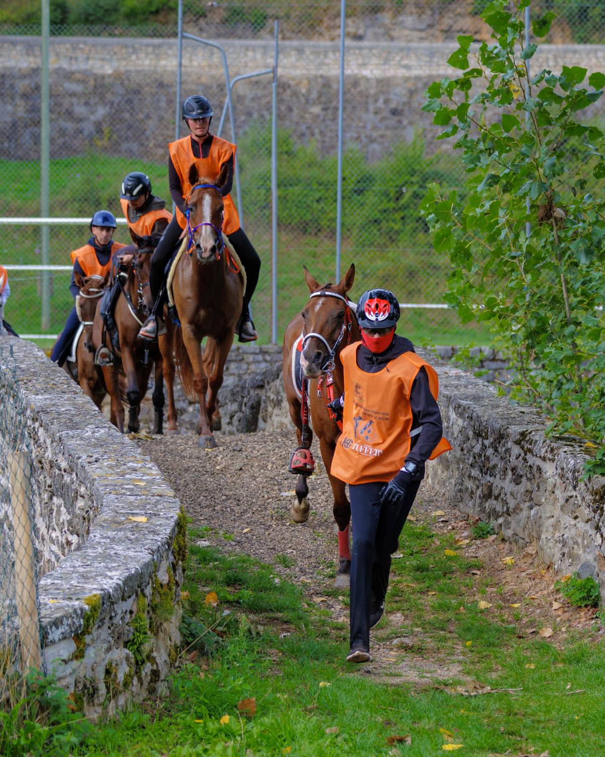 الفريق الملكي يحرز المركز الثاني في سباق فلوراك الدولي للقدرة