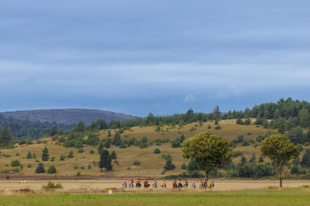 الفريق الملكي يحرز المركز الثاني في سباق فلوراك الدولي للقدرة