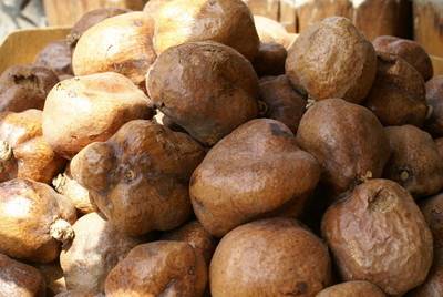 كيف يساهم الدوم في تقوية الذاكرة وصحة القلب؟