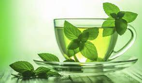 فوائد شرب الماء مع النعناع في تعزيز الجسم والبشرة