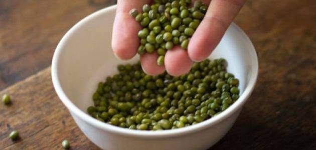 فوائد الماش لصحة العظام والقلب.. تعرف عليها