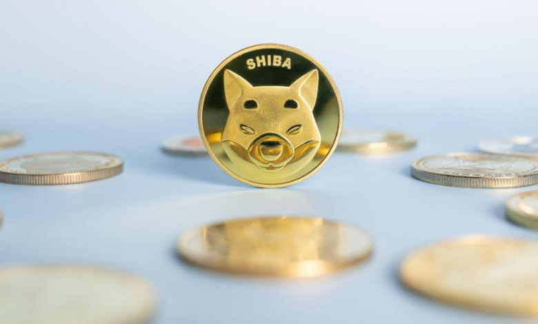 نقل ضخم لكميات شيبا إينو يثير الجدل.. هل نقترب من موجة صعود أم انهيار؟