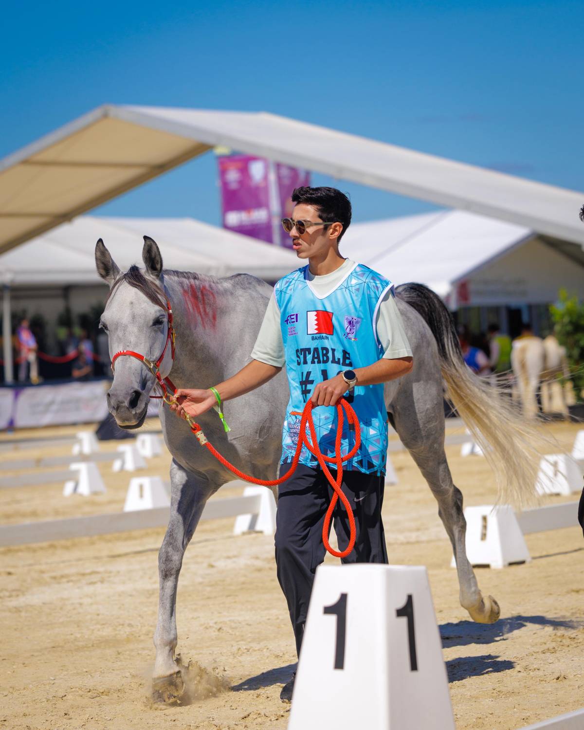 الفريق الملكي للقدرة يختتم تحضيراته للمشاركة في بطولة العالم للشباب للقدرة في رومانيا