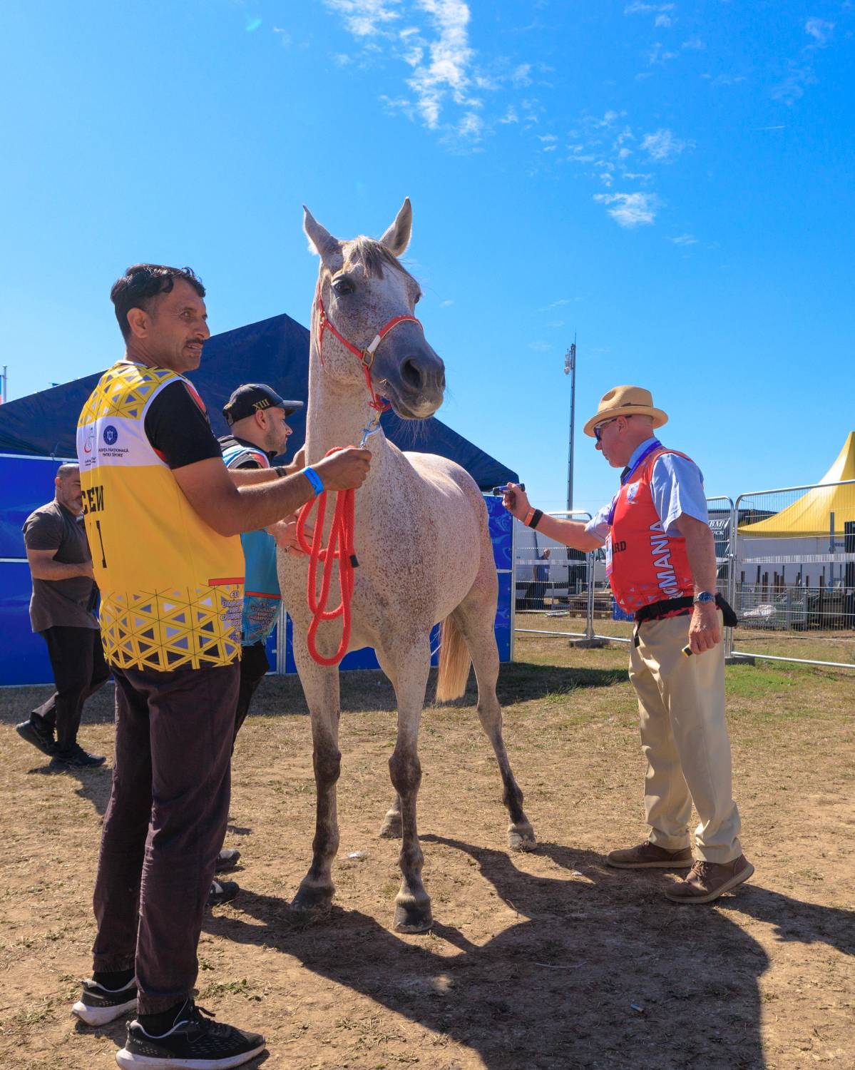 الفريق الملكي للقدرة يختتم تحضيراته للمشاركة في بطولة العالم للشباب للقدرة في رومانيا