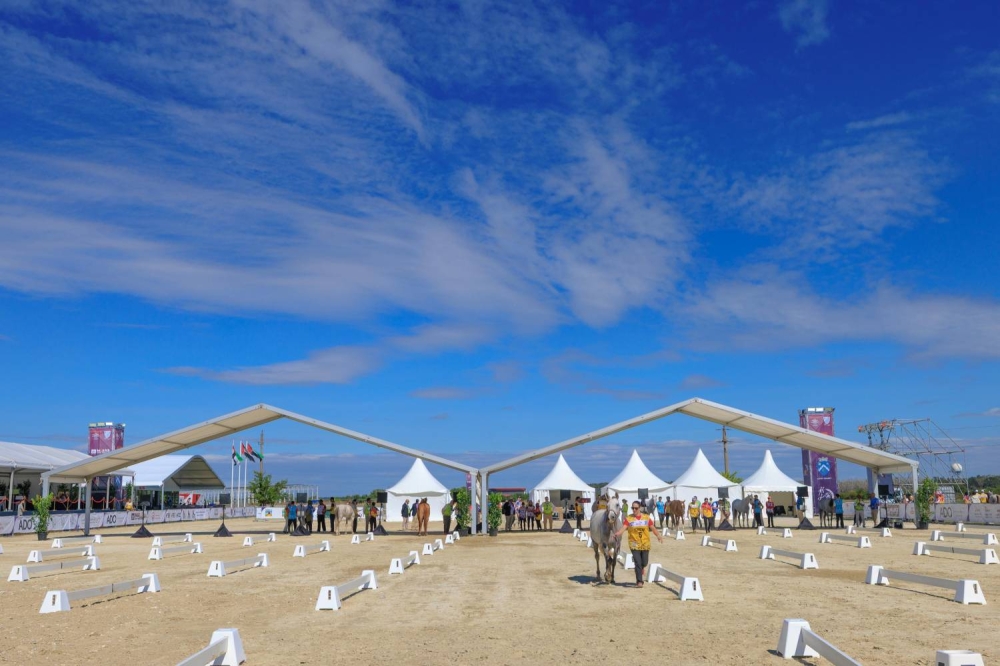 الفريق الملكي للقدرة يختتم تحضيراته للمشاركة في بطولة العالم للشباب للقدرة في رومانيا