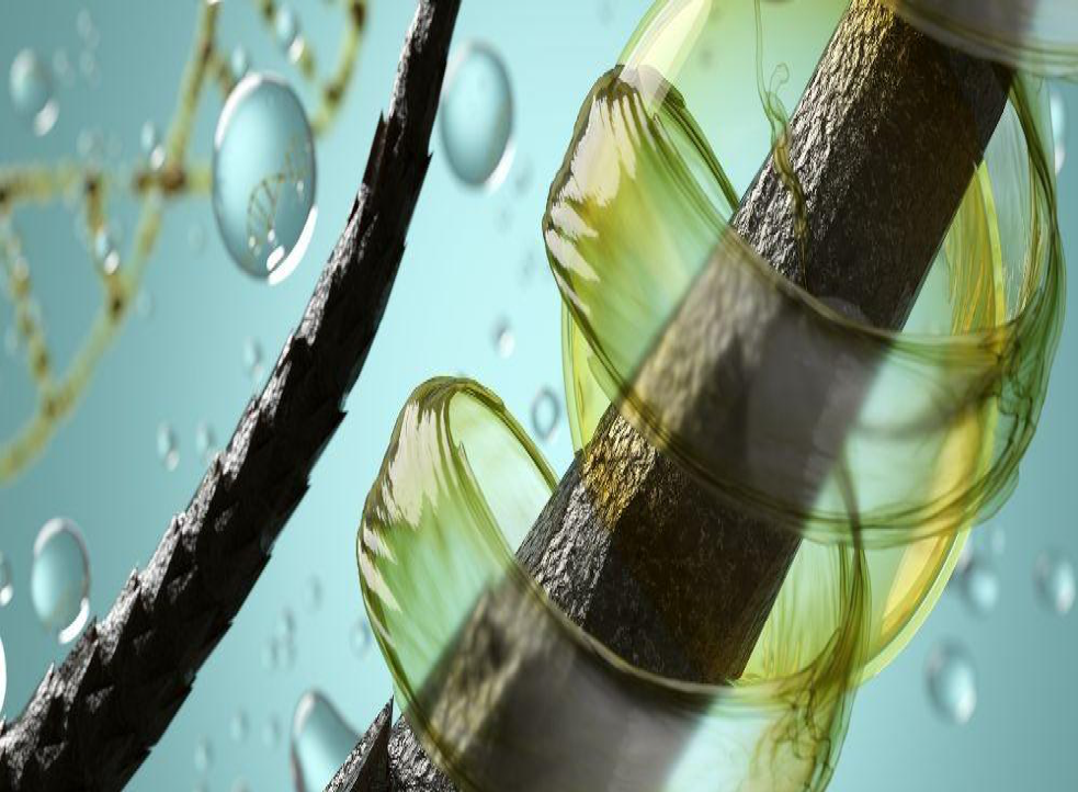 دليلك نحو العناية.. ما طرق معرفة مسامية الشعر؟