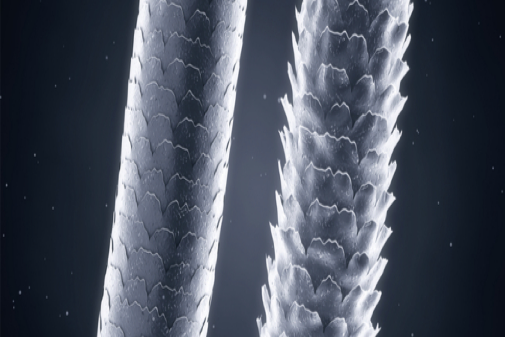 دليلك نحو العناية.. ما طرق معرفة مسامية الشعر؟