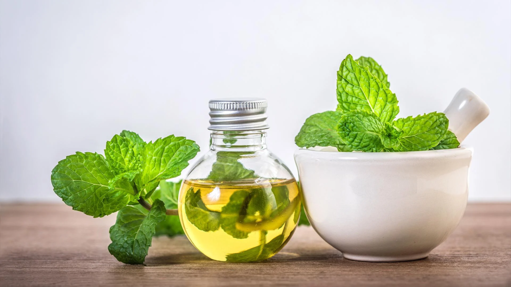 سر عطري للصحة والجمال وهدوء الأعصاب.. ما هي فوائد زيت النعناع؟